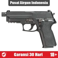 UMAREX SIG Sauer P229 - Airgun