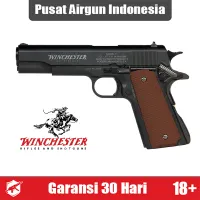 Daisy Powerline Winchester Model 11 Airgun