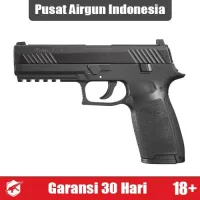 UMAREX SIG Sauer P320 Airgun