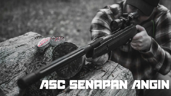 Senapan Angin